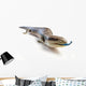 Blue Tongue Lizard Poking Wall Decal