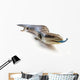 Blue Tongue Lizard Poking Wall Decal