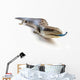 Blue Tongue Lizard Poking Wall Decal