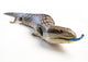 Blue Tongue Lizard Poking Wall Decal