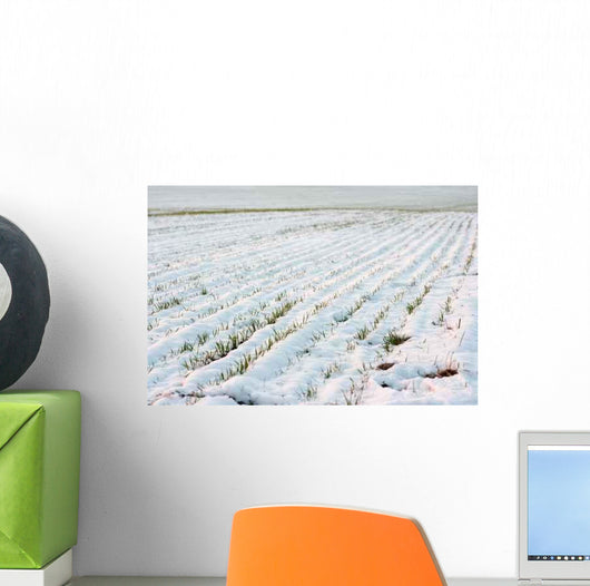Agricultural Field Covered Fresh Wall Decal