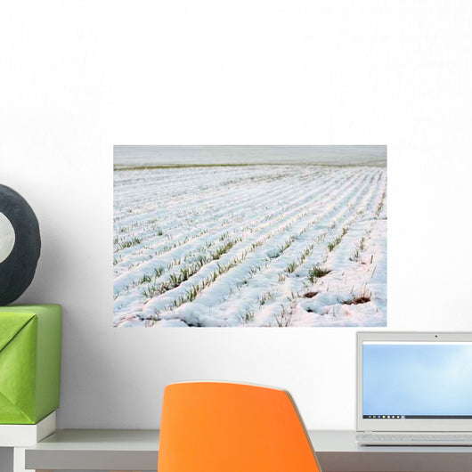 Agricultural Field Covered Fresh Wall Decal