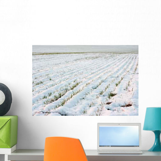 Agricultural Field Covered Fresh Wall Decal