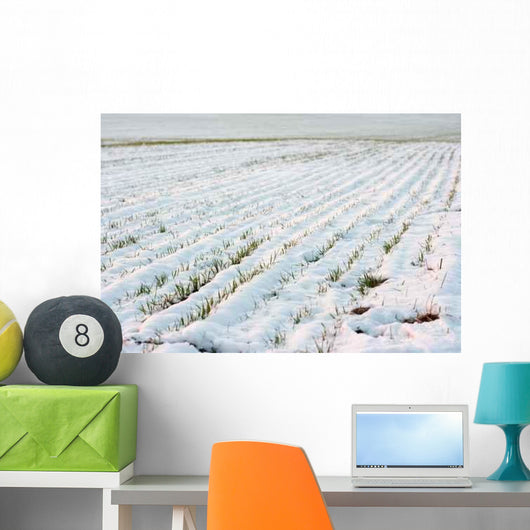 Agricultural Field Covered Fresh Wall Decal