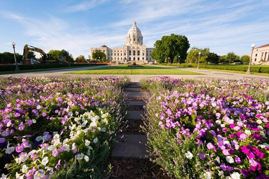 Minnesota Capital Garden Wall Decal
