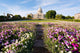 Minnesota Capital Garden Wall Decal
