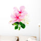 Pink and White Hibiscus Wall Decal