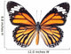 Monarch Butterfly White Wall Decal
