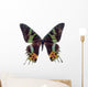 Butterfly White Madagascar Wall Decal