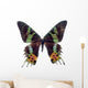 Butterfly White Madagascar Wall Decal