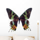 Butterfly White Madagascar Wall Decal