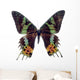 Butterfly White Madagascar Wall Decal