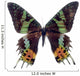 Butterfly White Madagascar Wall Decal