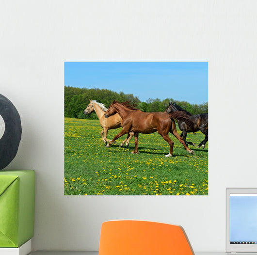Horse Wall Decal Design 1