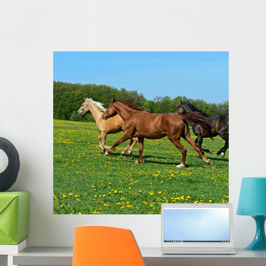 Horse Wall Decal Design 1