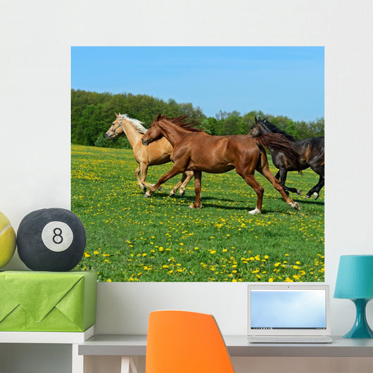 Horse Wall Decal Design 1