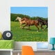 Horse Wall Decal Design 1