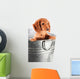Wet Dachshund Puppy Tub Wall Decal
