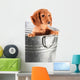 Wet Dachshund Puppy Tub Wall Decal