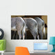 Zebra Wall Decal Design 2
