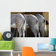 Zebra Wall Decal Design 2