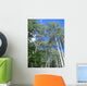 Aspen Trees Wall Decal
