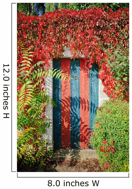 Colorful Rustic Door Covered Wall Decal