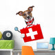 Medical Doctor Dog Wall Decal