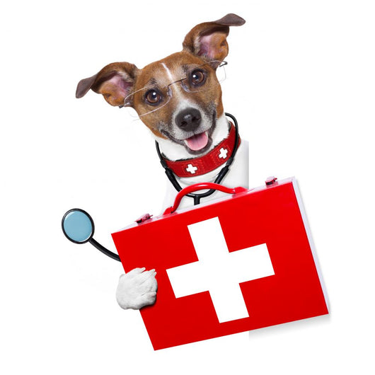 Medical Doctor Dog Wall Decal