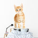 Cute Little Red Kitten Wall Decal Design 3