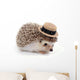 Little Hedgehog Wall Decal