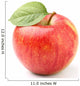 Apple with Leaf Wall Decal