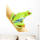 Frog Macro Red-eyed Tree Wall Decal Design 2