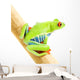 Frog Macro Red-eyed Tree Wall Decal Design 2