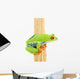 Frog Macro Red-eyed Tree Wall Decal Design 1