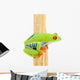 Frog Macro Red-eyed Tree Wall Decal Design 1