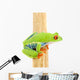 Frog Macro Red-eyed Tree Wall Decal Design 1