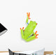 Red-eyed Tree Frog Wall Decal