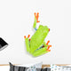 Red-eyed Tree Frog Wall Decal