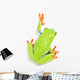 Red-eyed Tree Frog Wall Decal
