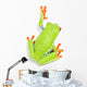 Red-eyed Tree Frog Wall Decal