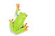 Red-eyed Tree Frog Wall Decal