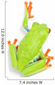 Red-eyed Tree Frog Wall Decal