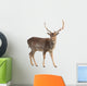 Buck Deer Wall Decal