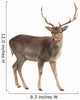 Buck Deer Wall Decal
