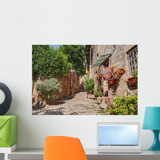 Alley with Flowers and Wall Decal