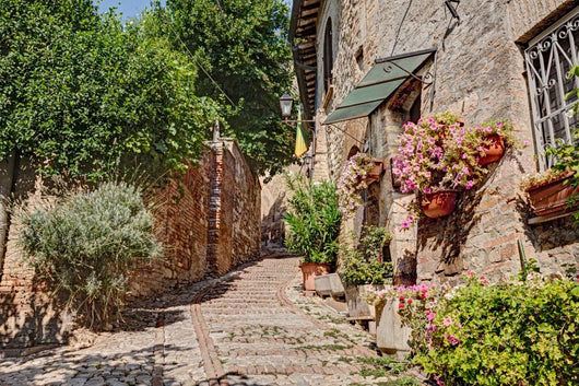 Alley with Flowers and Wall Decal
