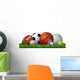 Recreation Leisure Sports Wall Decal
