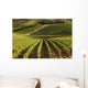 Heart Tuscany with Vineyards Wall Decal