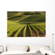 Heart Tuscany with Vineyards Wall Decal